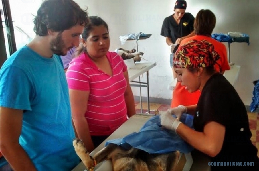 PATA ESTERILIZACION DE MASCOTAS