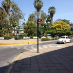 centro colima jardin