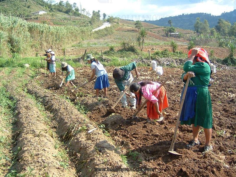 mujeres campesinas