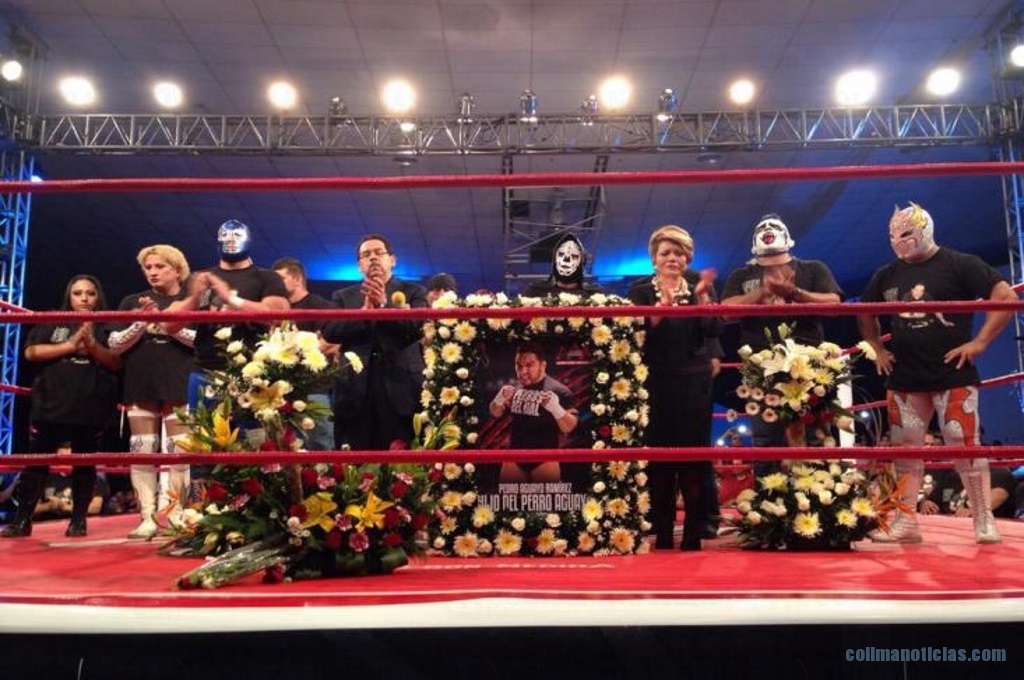 0009.ABRIL2015_AAA_Tributo a Perro Aguayo Jr.