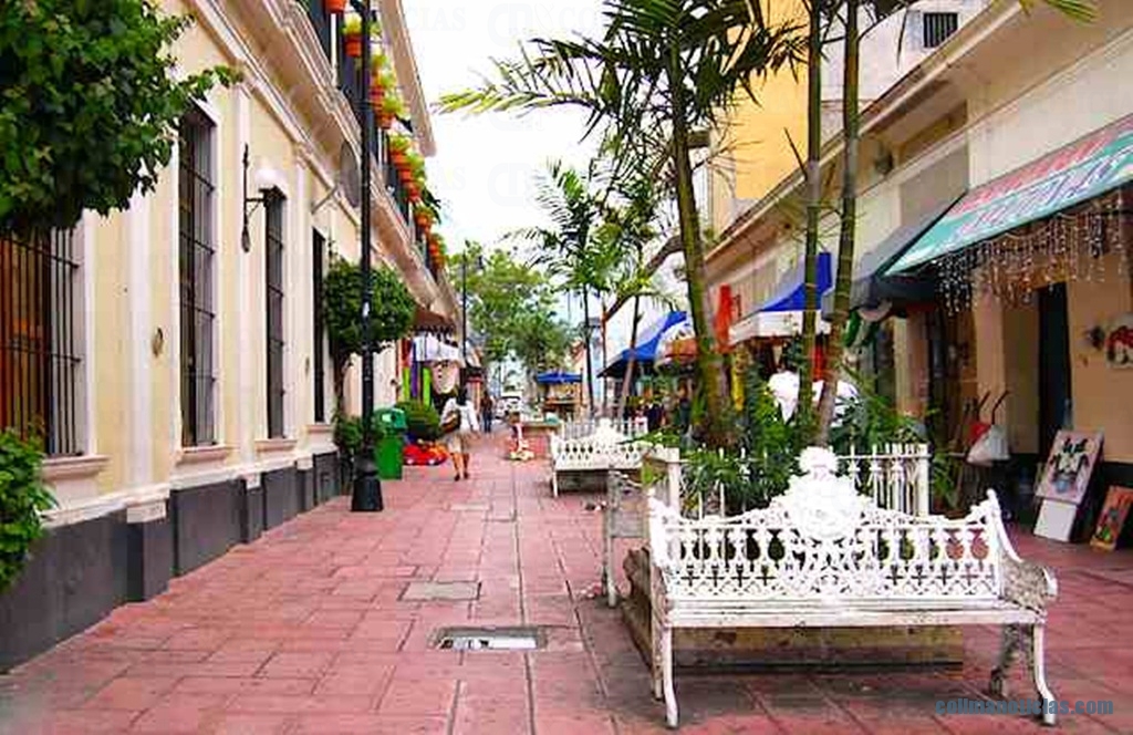 andador constitución