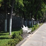 calle colima avenida