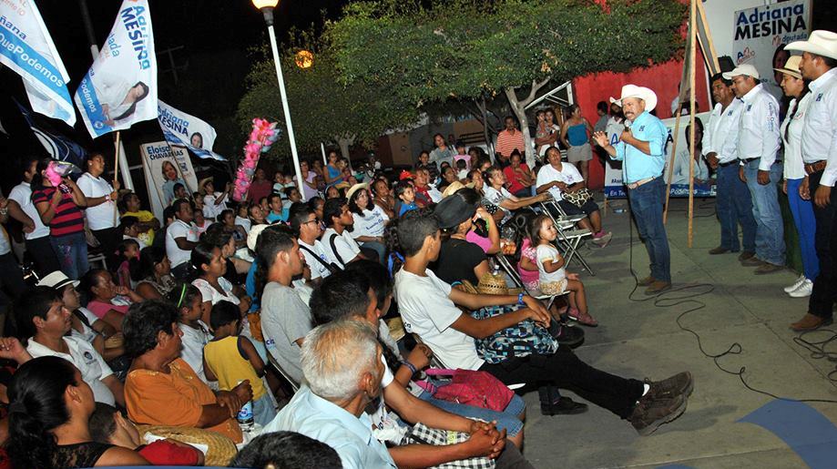 lupillo garcía campaña limoneros