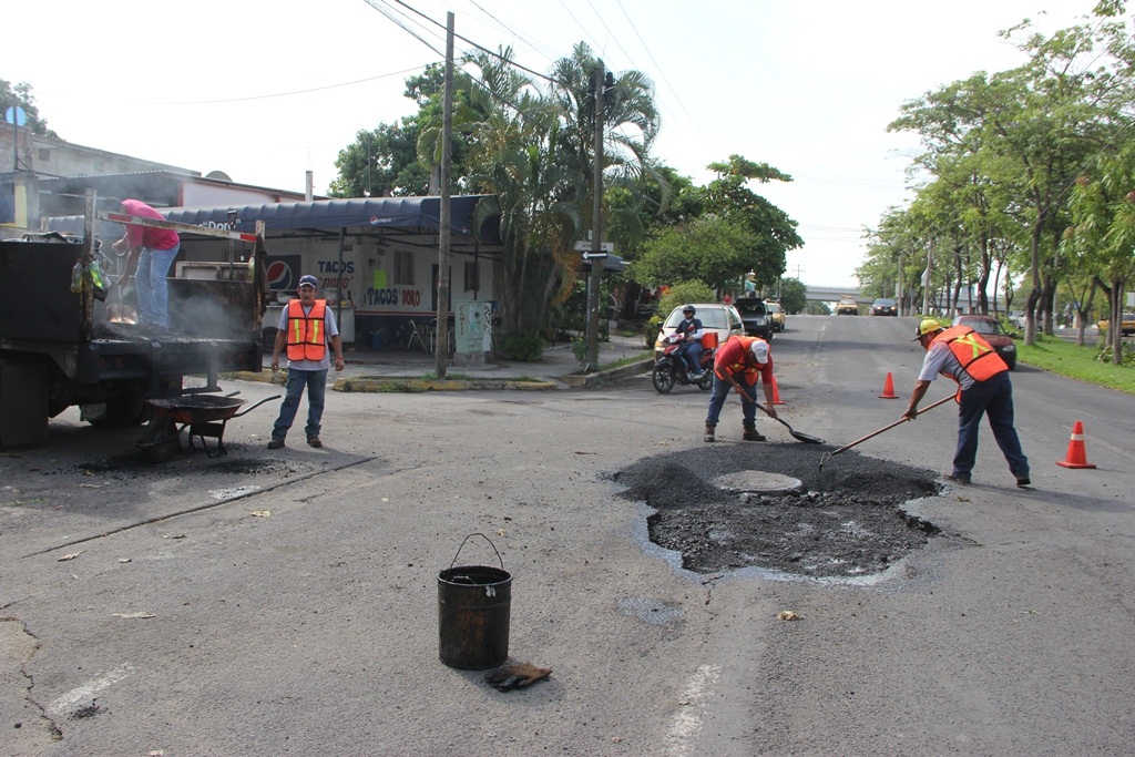 baches tormenta
