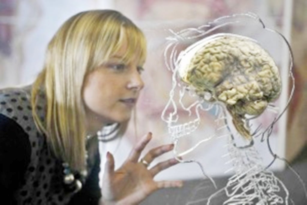 cerebro