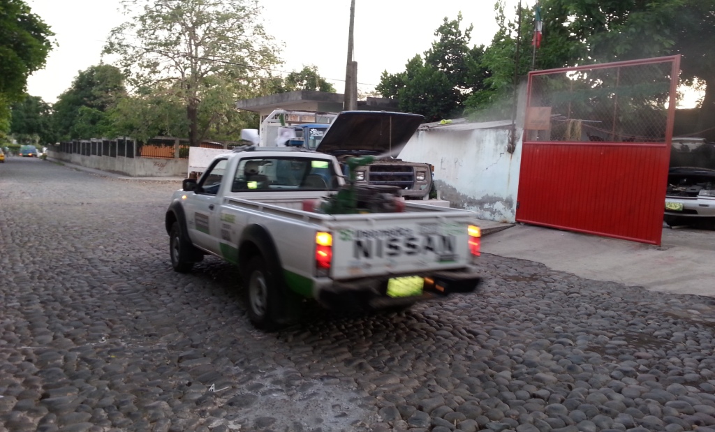 control contra chikungunya