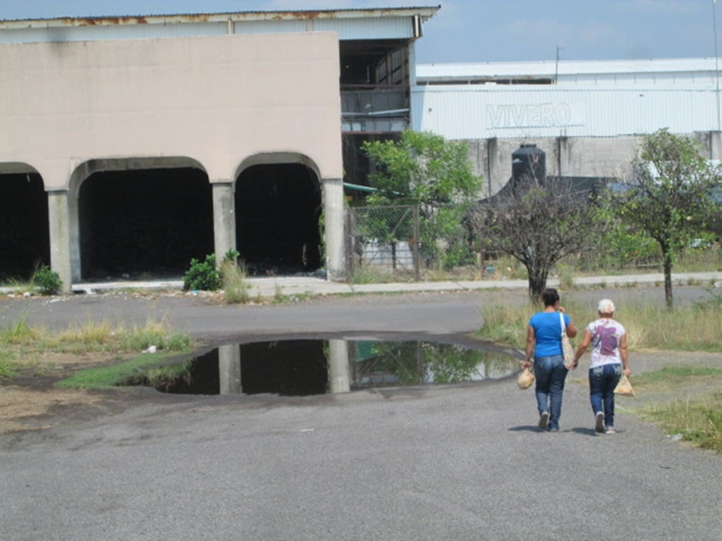 criaderos mosco agua