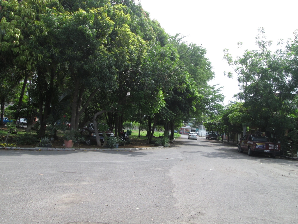 calle urbanizacion