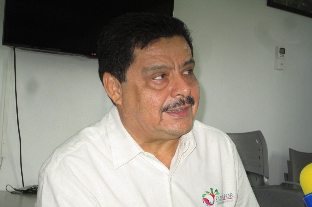 conafor brizuela