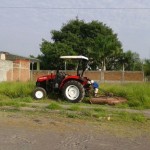limpieza en tecoman