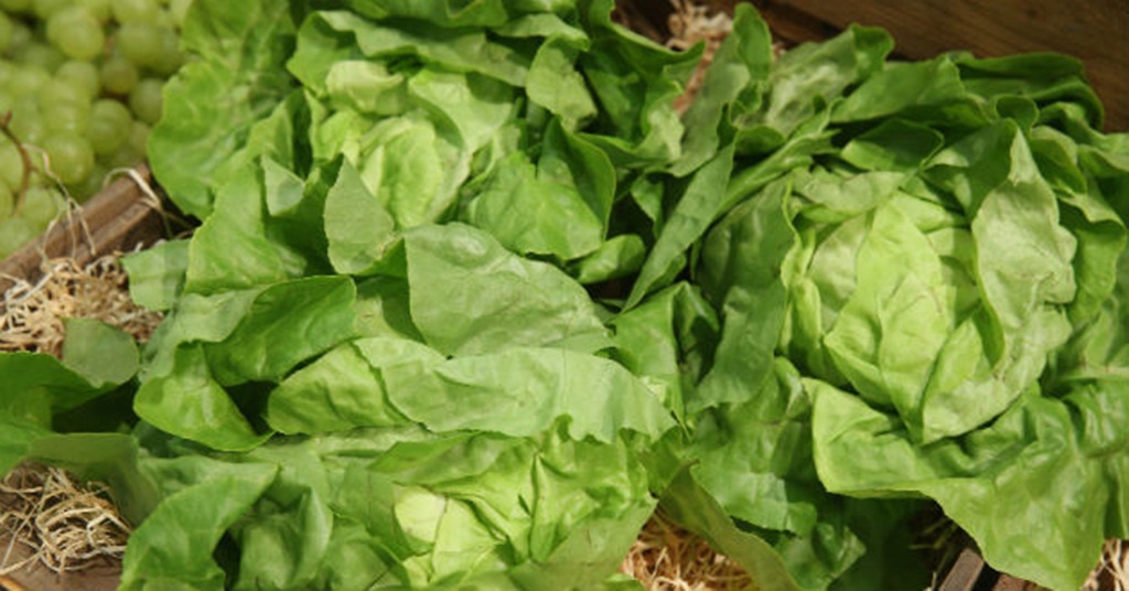 verduras
