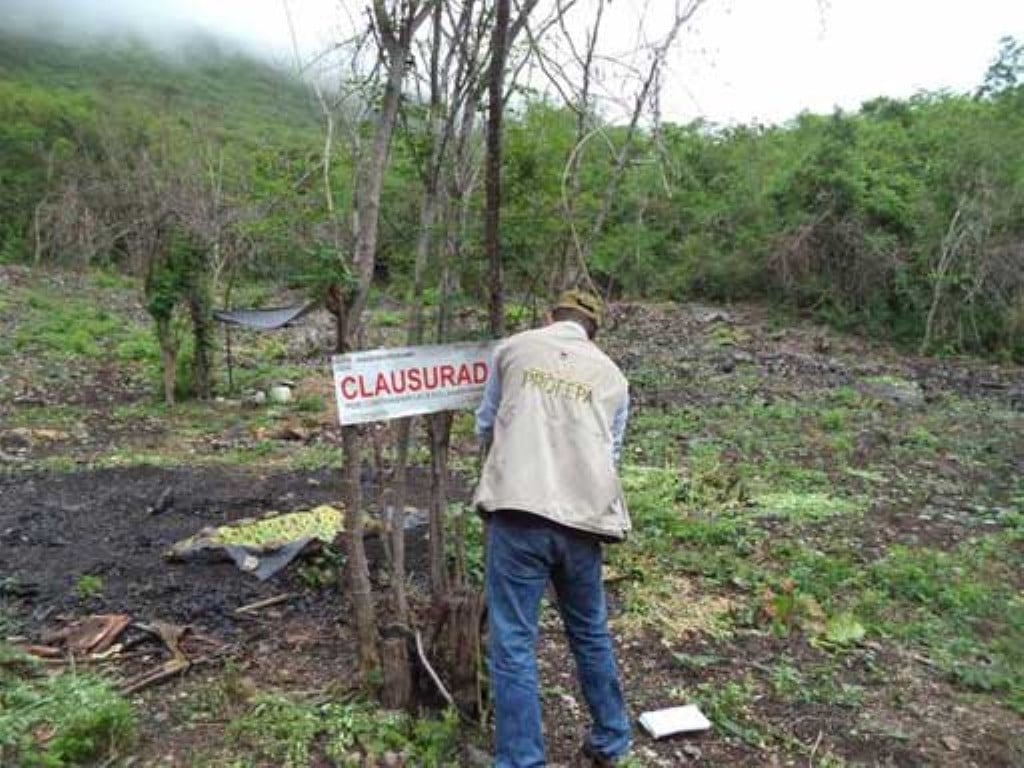 CLAUSURA (Medium)