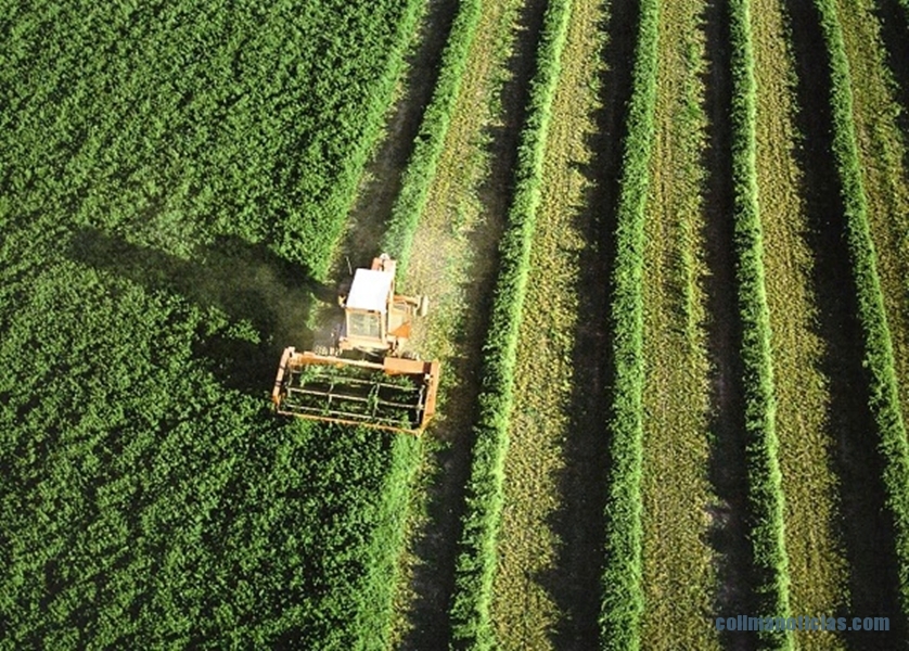CN CAMPO AGRICOLA
