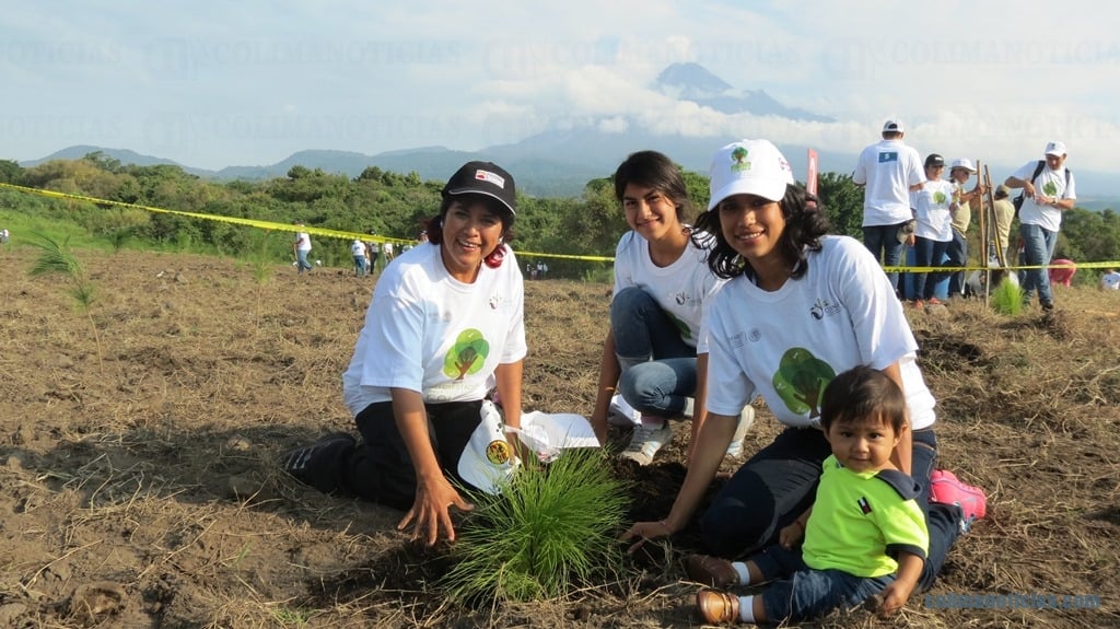 REFORESTACION1