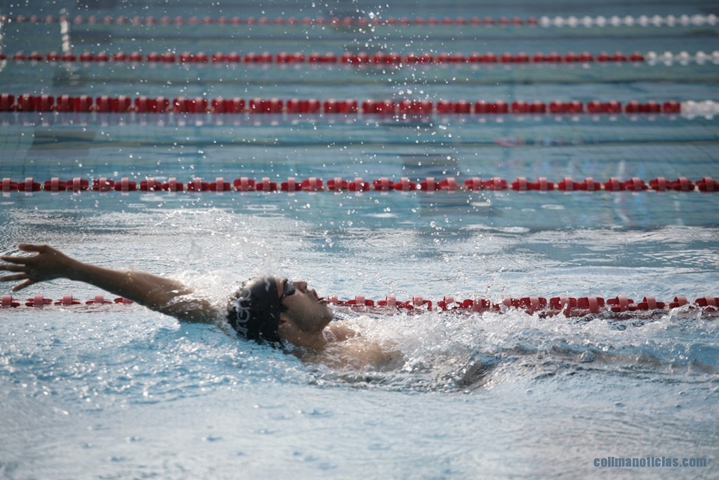 natacion