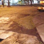 trampa para automoviles