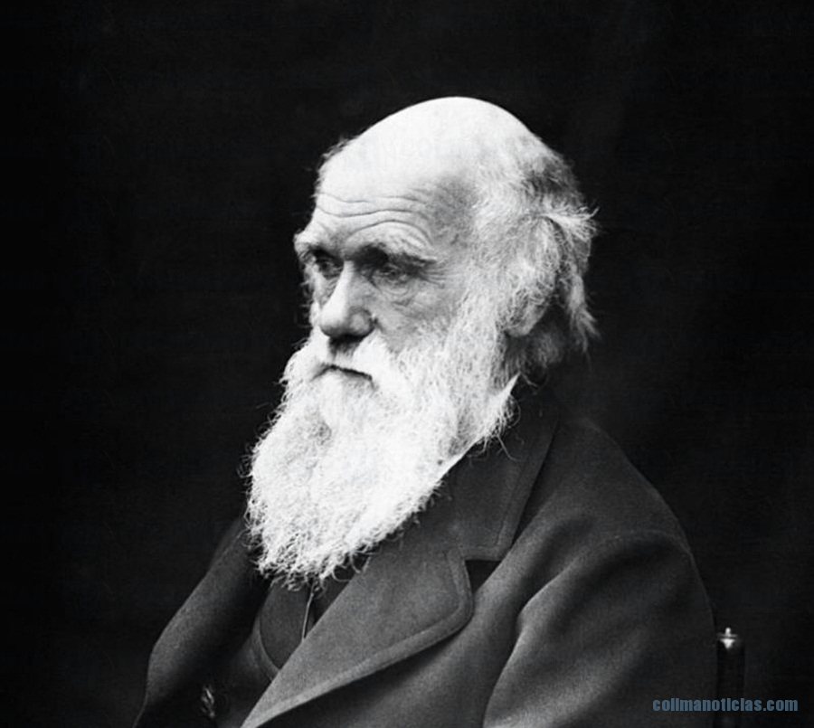 charlesdarwin