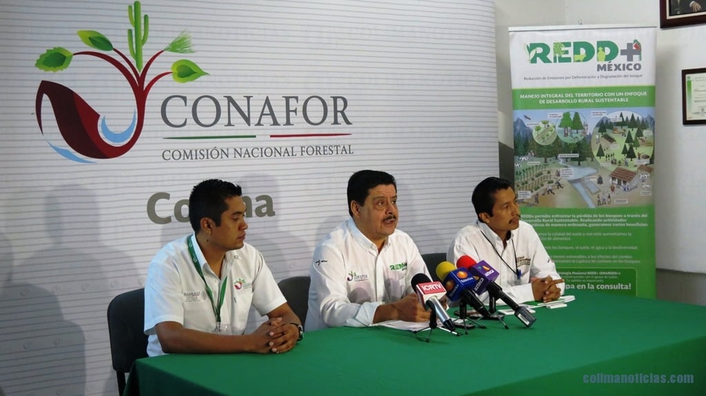 foto conafor