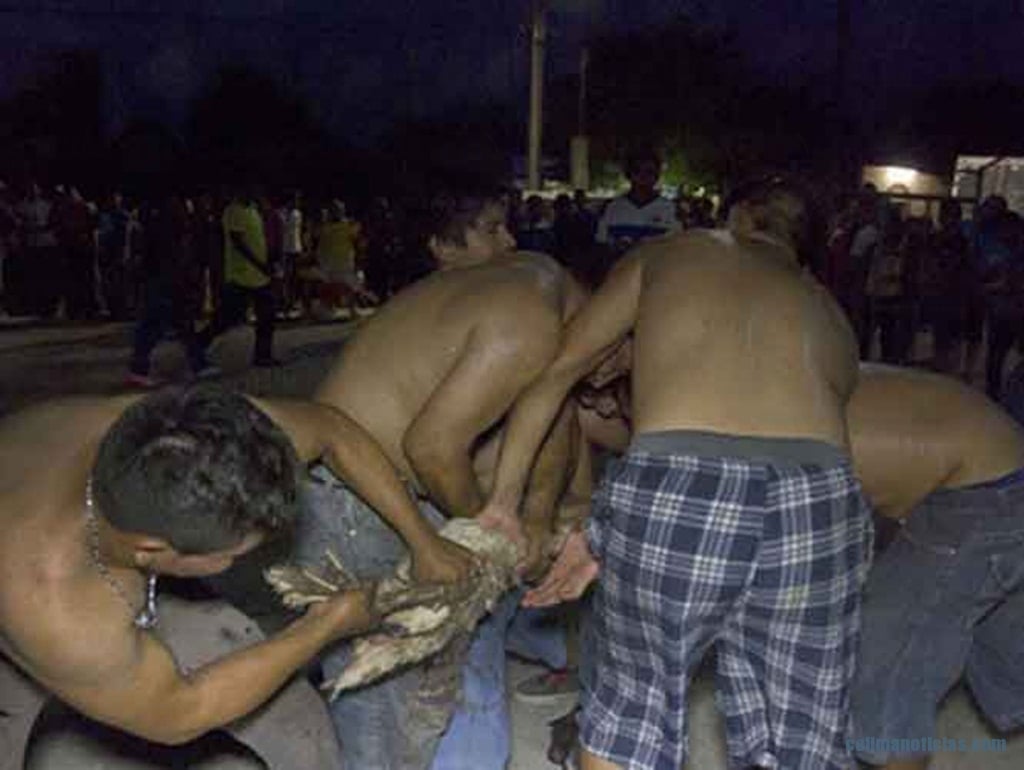 salvaje matanza a animales durante Festival tradicional en Yucatán
