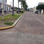 villa de alvarez centro