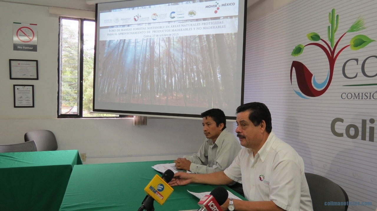 Anuncian Foro de aprovechamiento forestal sostenible