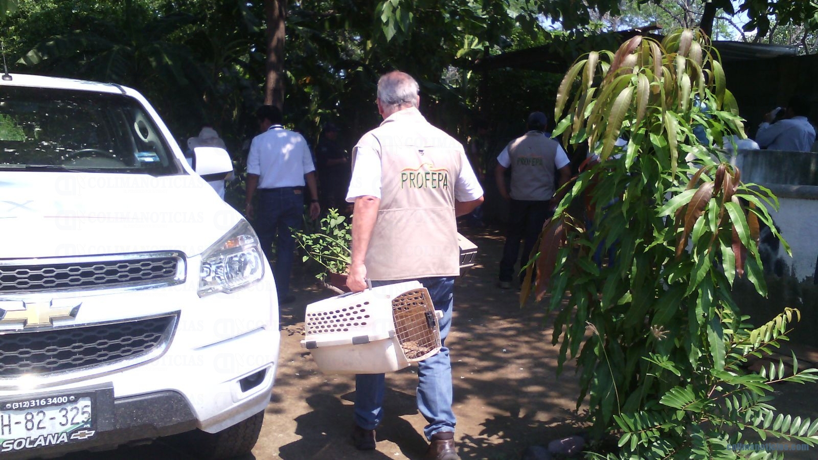 Profepa incauta animales en Iguanario Archundia