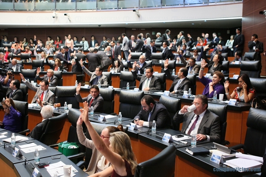 SENADO