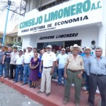 consejo limonero
