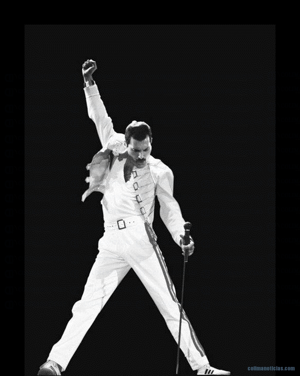 24 años sin Freddie Mercury 1