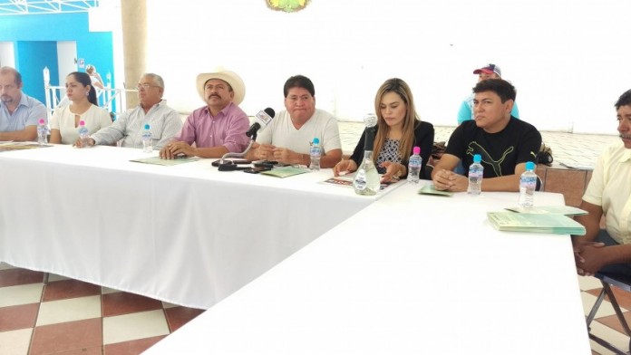 feria del limón (Small)
