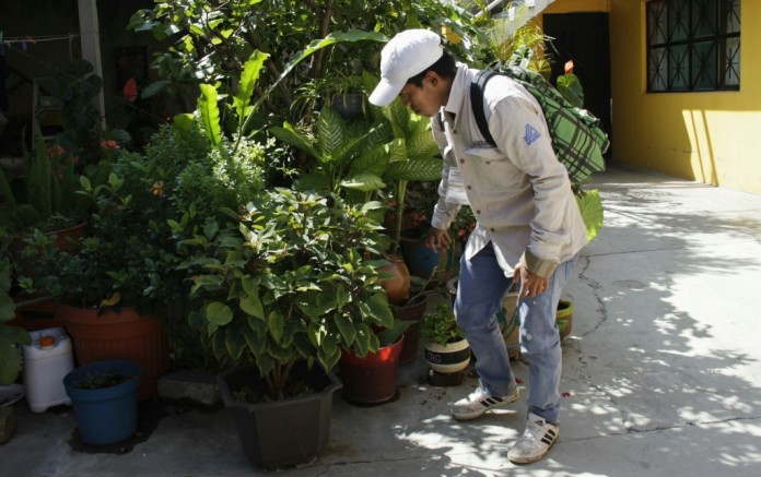 prevenir zika