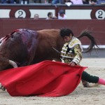 0172.FEBRERO.2016_Toros_Joselito Adame