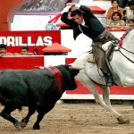 0174.FEBRERO.2016_Toros_Horacio Casas