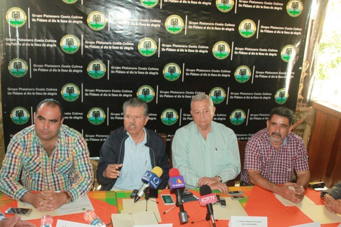 Grupo Platanero Costa Colima, busca consolidar productores al mercado estatal y nacional