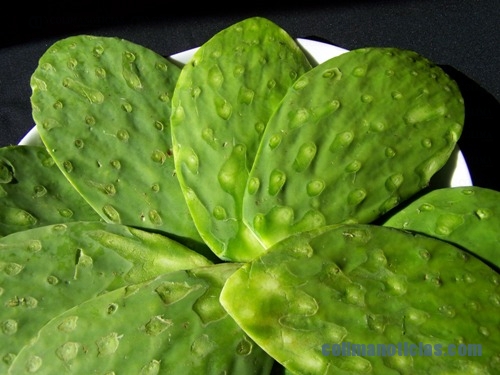NOPAL