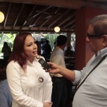 diputada federal