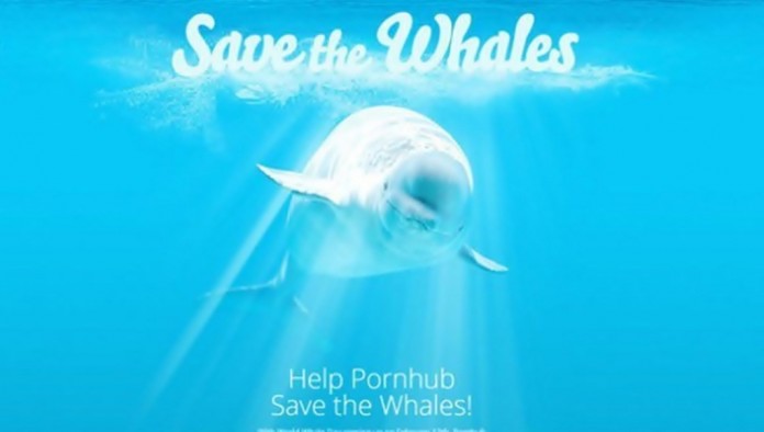 pornhub-cares-ballenas-portada