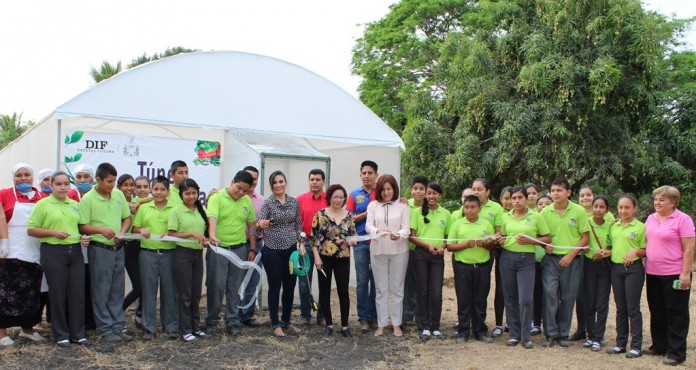 , DIF Estatal inaugura túnel de hortalizas