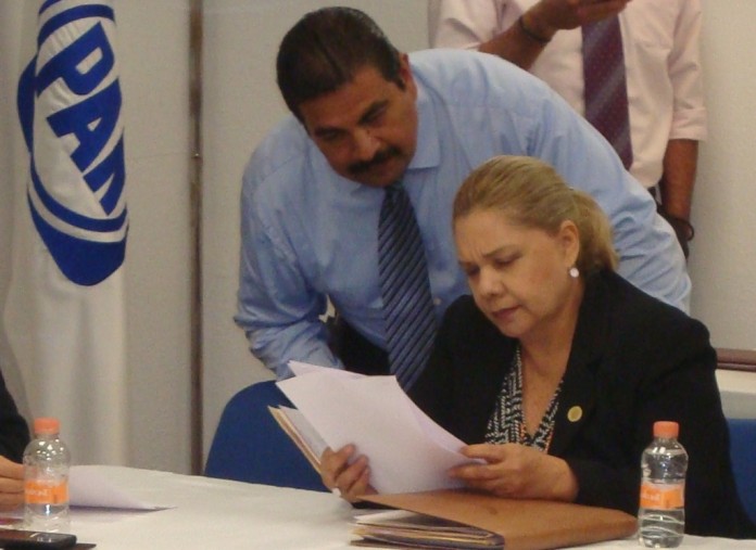 ELOISA DIPUTADA FEDERAL