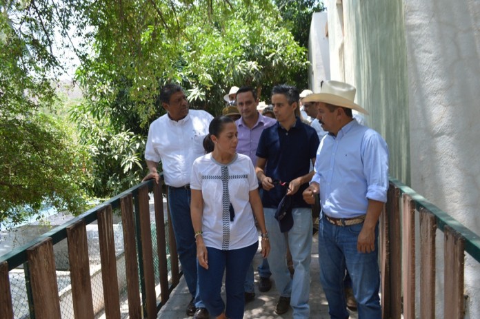 UMA Alcuzahue