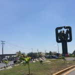 tecoman-arbol