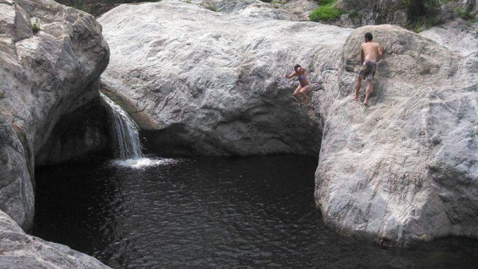 Biodiversidad
