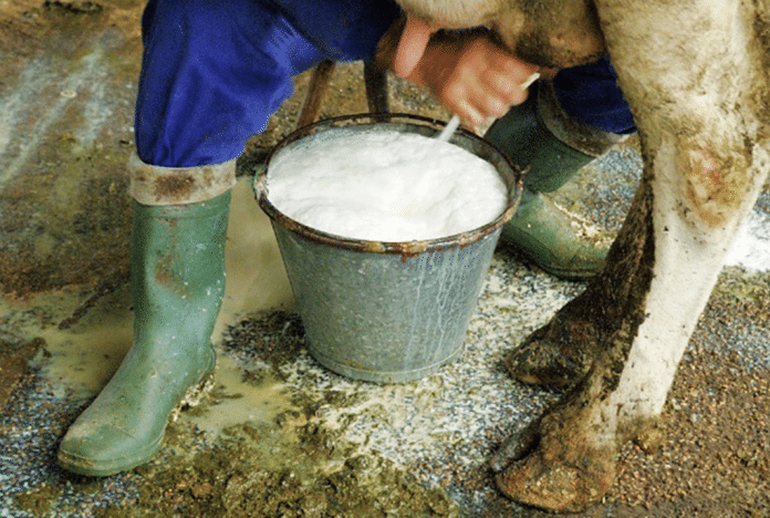 Lácteos sin pasteurizar