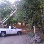charco verde
