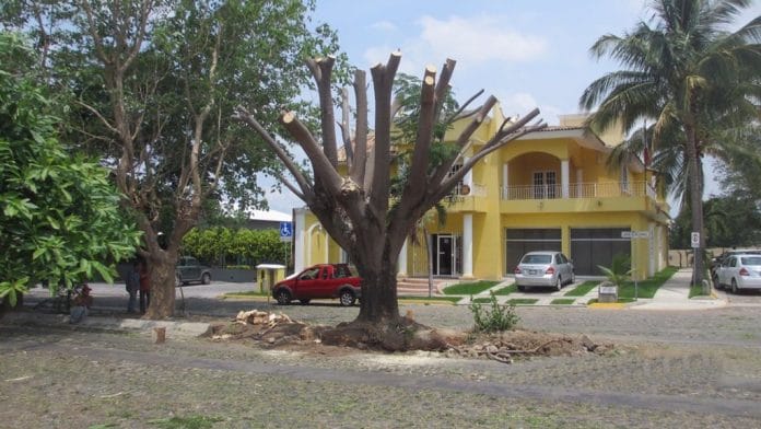 retiro de parota