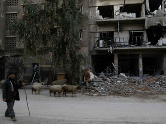 siria