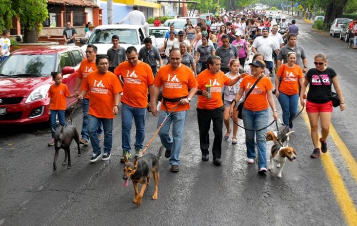 CAMINATA CON ANIMALES 1