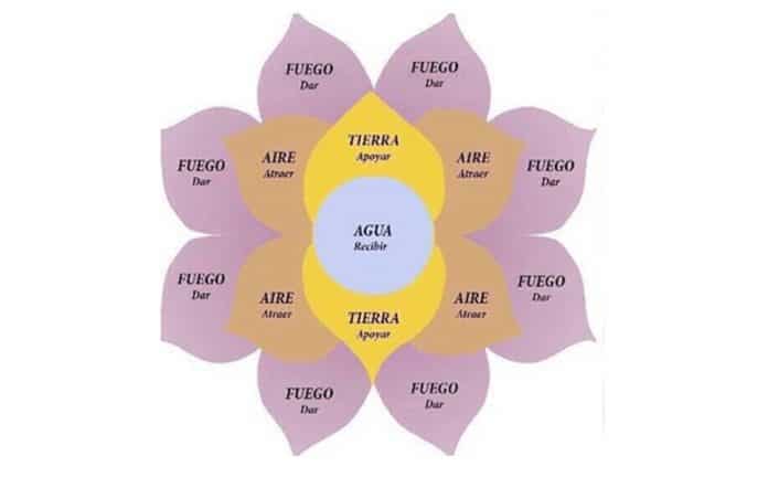 FOTO FLOR ABUNDANCE