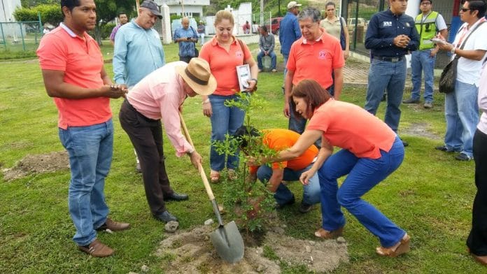 Inicia Ayuntamiento de Manzanillo programa de adopción de áreas verdes