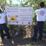 Protección Civil de Tecomán pide a la población no tener cocodrilos como mascota